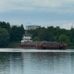 Экологическая ситуация вокруг Клязьминского водохранилища ухудшается из-за незаконных перевалочных Экологическая ситуация вокруг Клязьминского водохранилища ухудшается из-за незаконных перевалочных